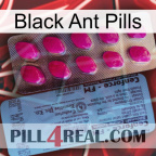 Black Ant Pills 35